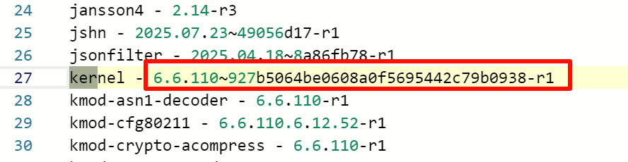 ImmortalWrt 编译进阶:实现与官方源 kmod 的完美兼容 2 1768100172 image